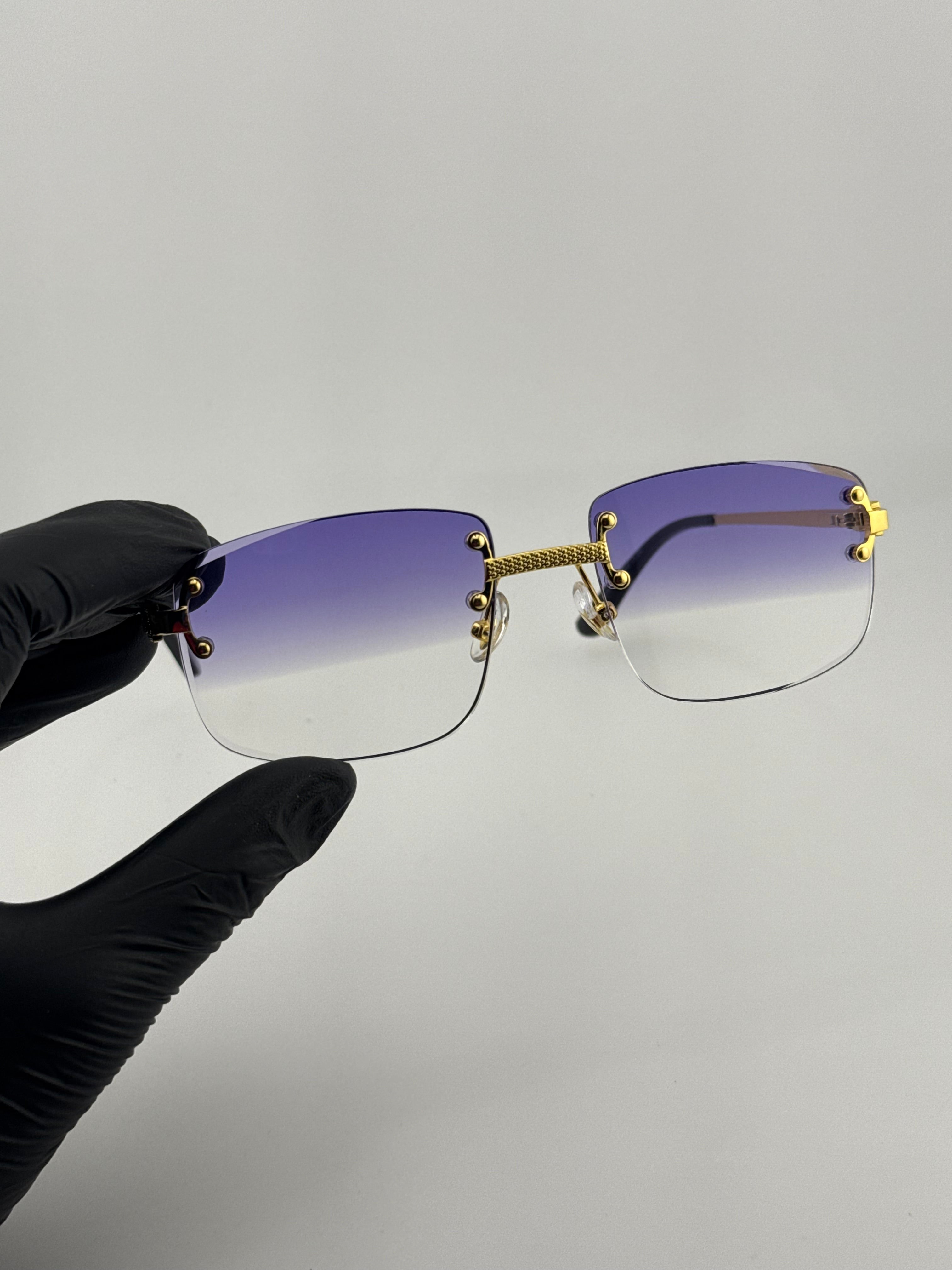 Corbière dégradé violet