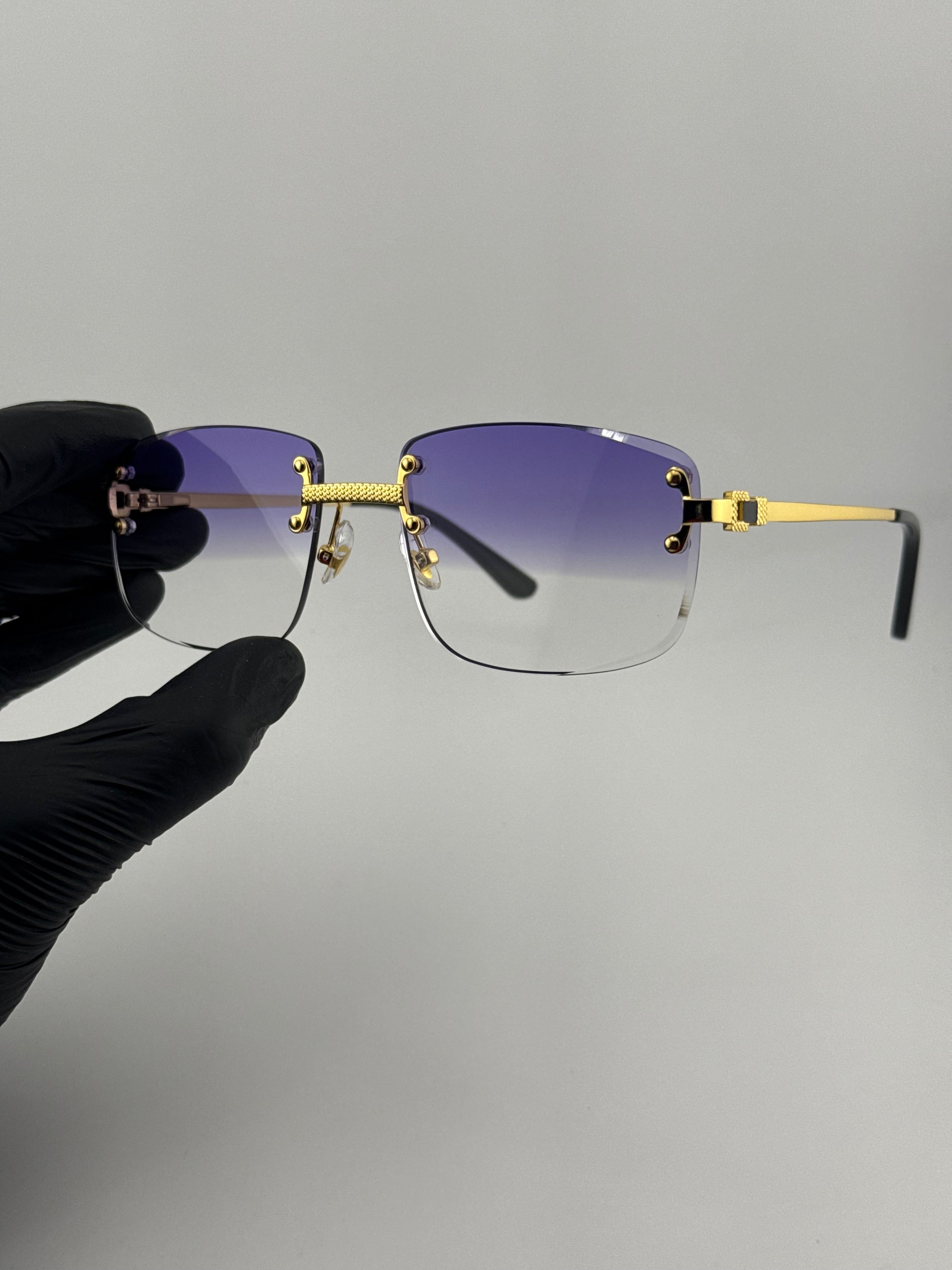 Corbière dégradé violet