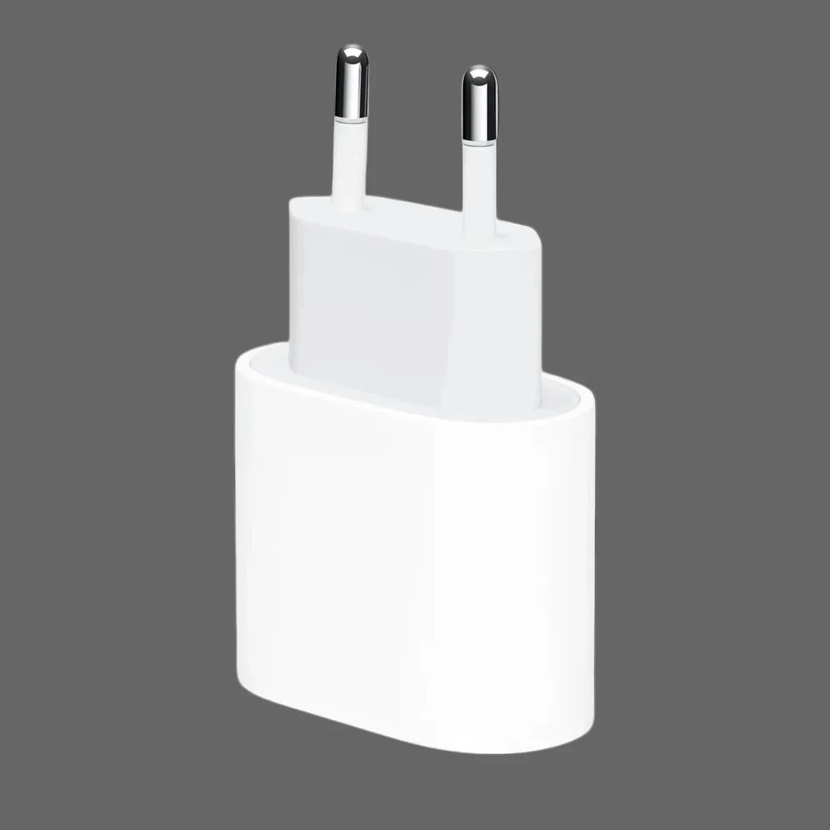 Prise secteur type C 20W